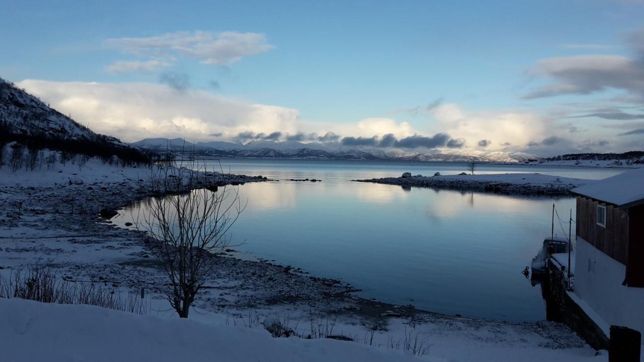 شقة Prima Lofoten Myrland المظهر الخارجي الصورة