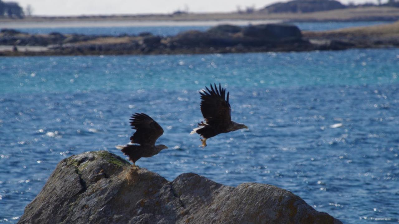 Prima Lofoten Myrland المظهر الخارجي الصورة
