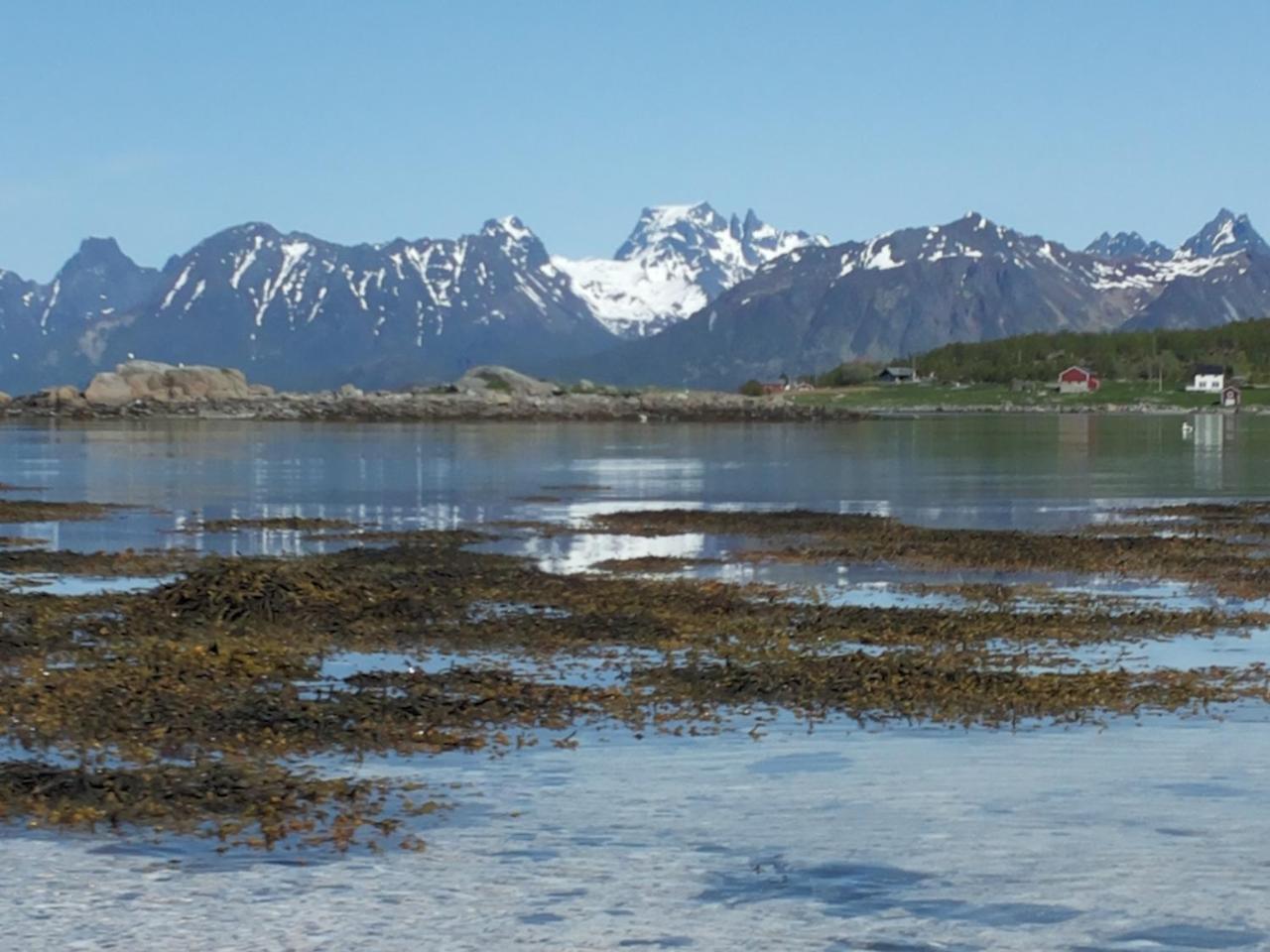 Prima Lofoten Myrland المظهر الخارجي الصورة
