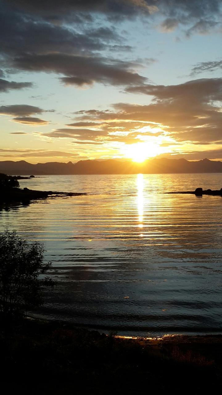 Prima Lofoten Myrland المظهر الخارجي الصورة