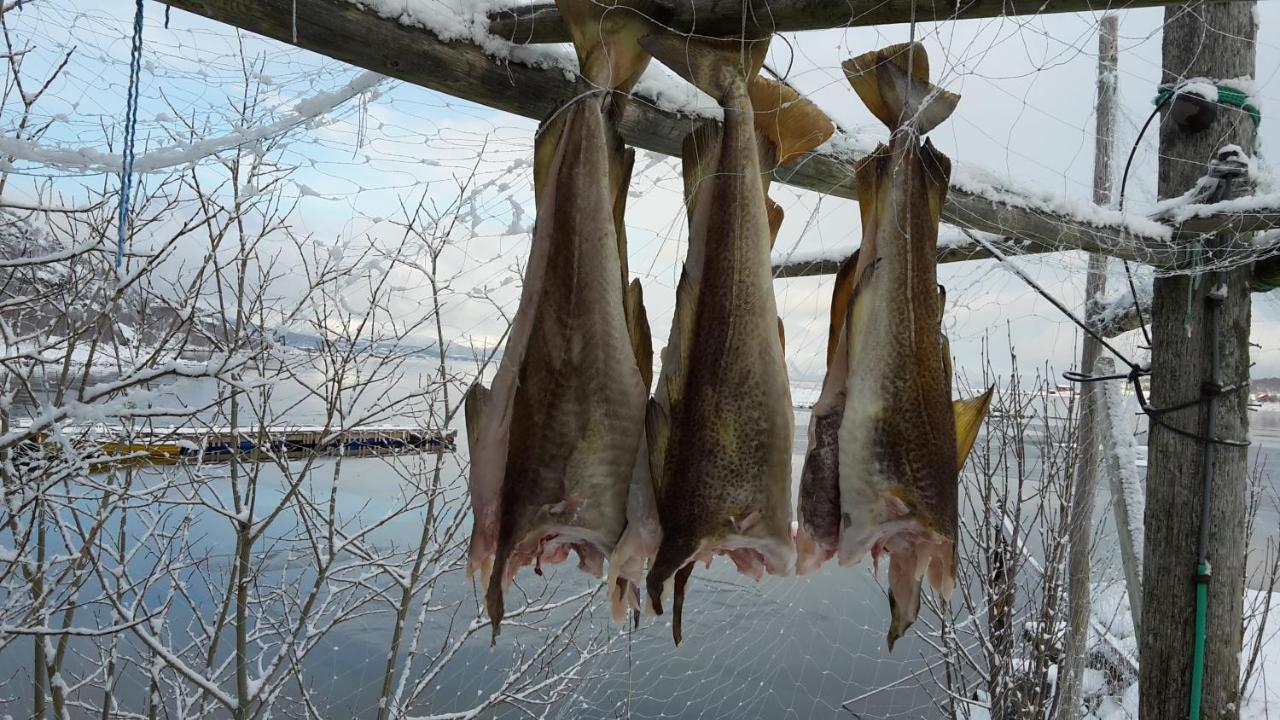 Prima Lofoten Myrland المظهر الخارجي الصورة